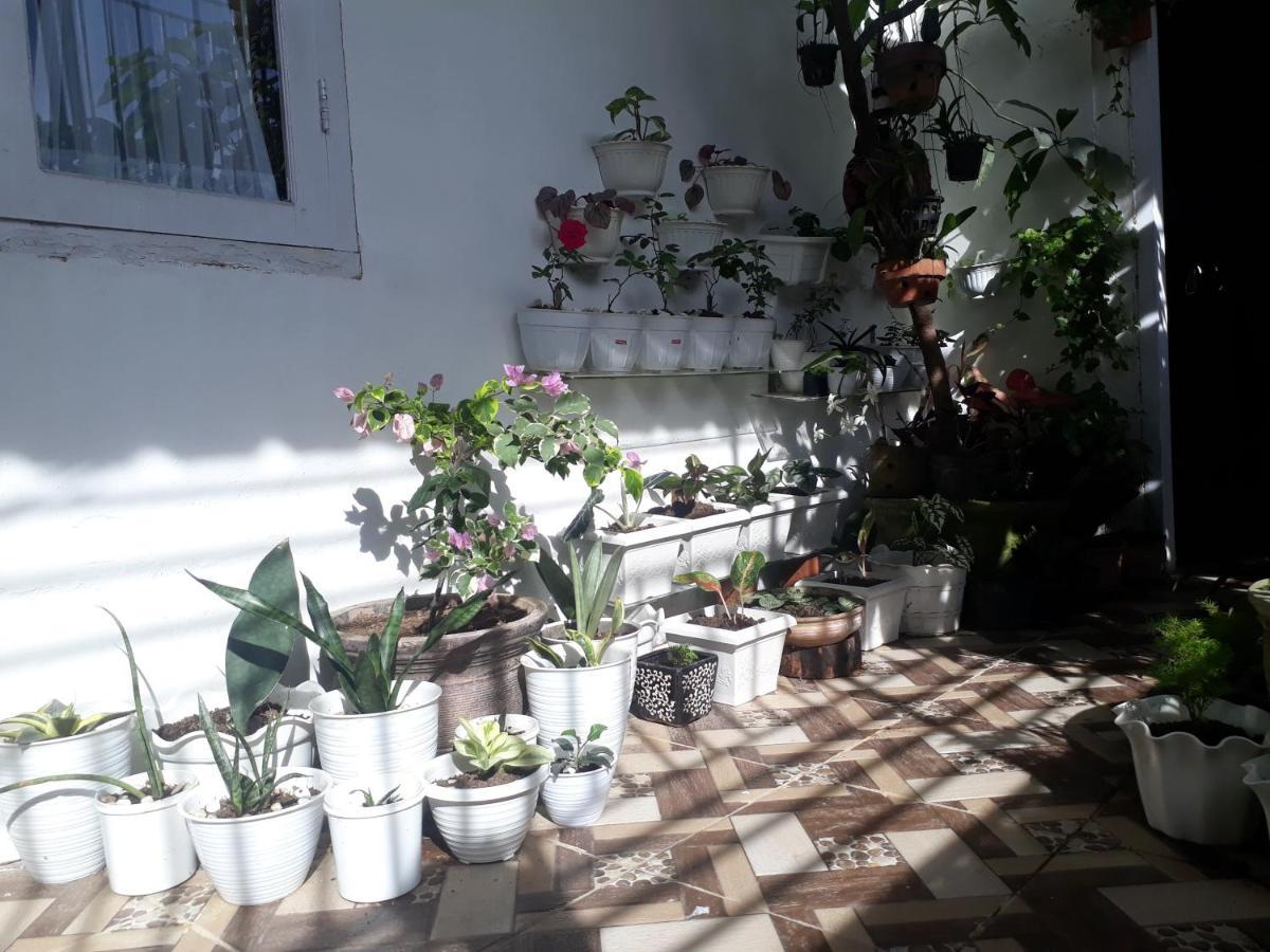 Bumimi Homestay Painan Kültér fotó