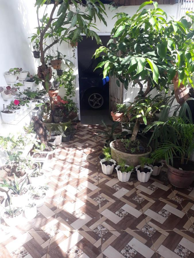 Bumimi Homestay Painan Kültér fotó