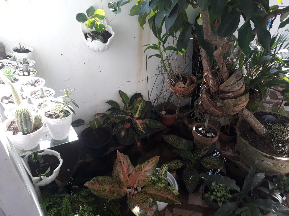 Bumimi Homestay Painan Kültér fotó